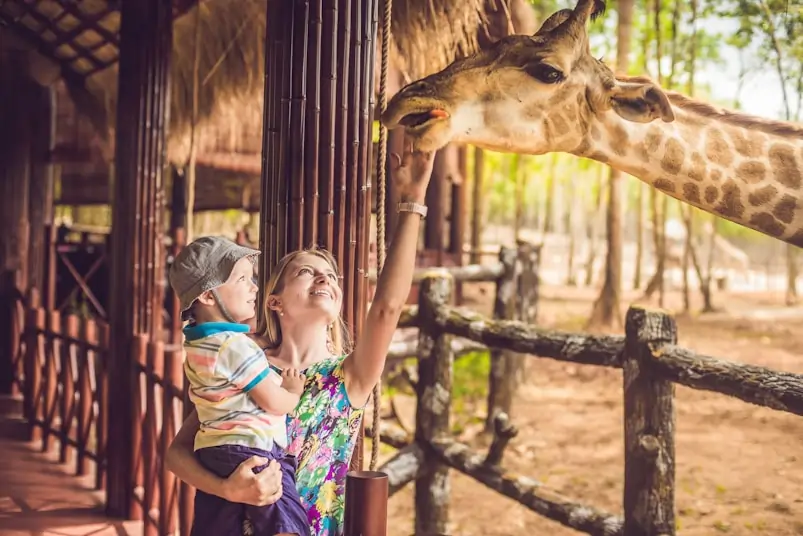 Family Safaris in East Africa: Comfort, Safety, and Shared Adventure