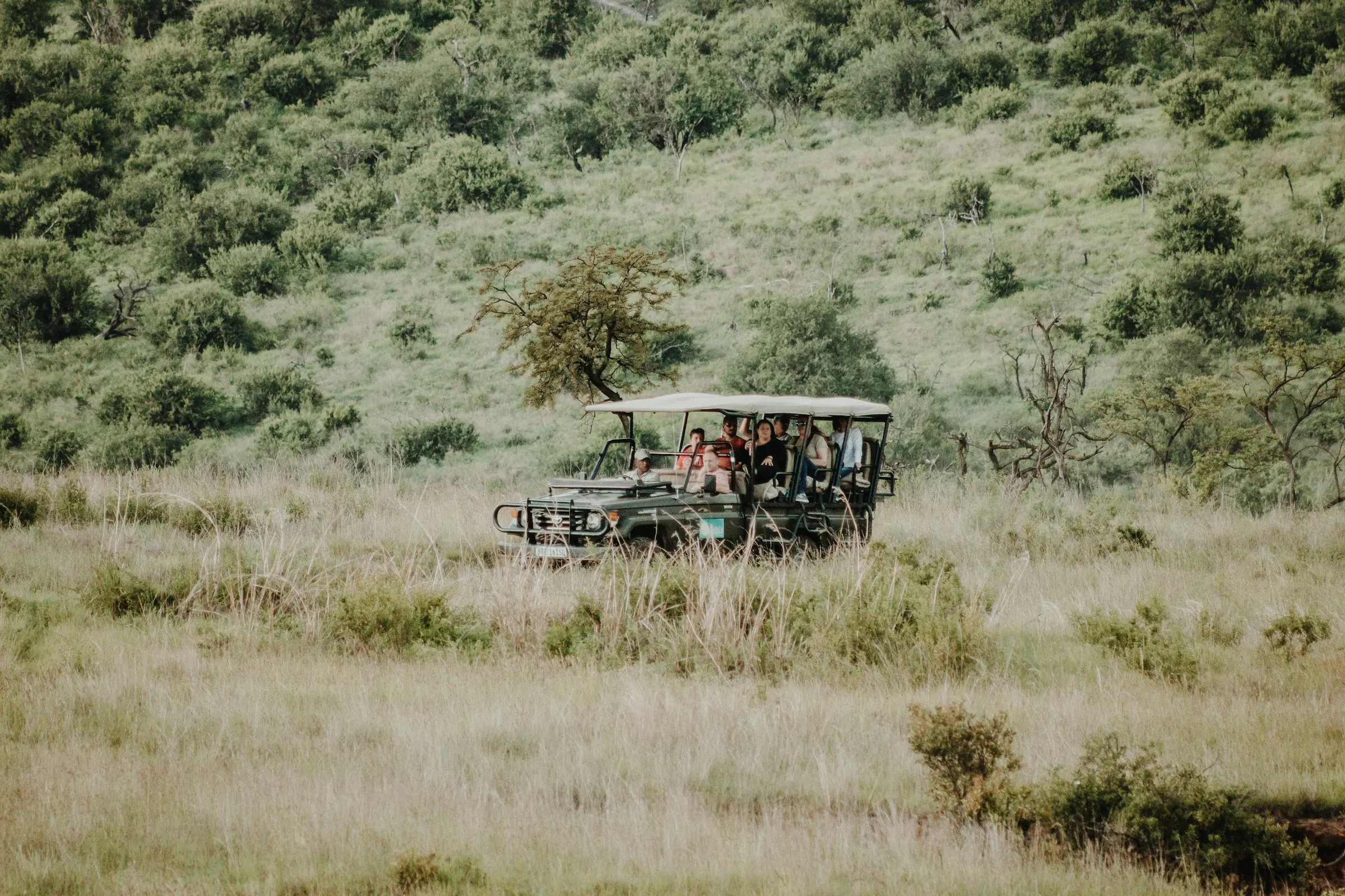 Simba Paka Camping Safaris: Adventurous and Comfort Camping Styles