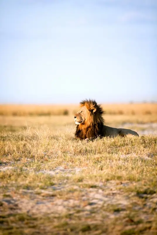 Laikipia Conservancies in Kenya