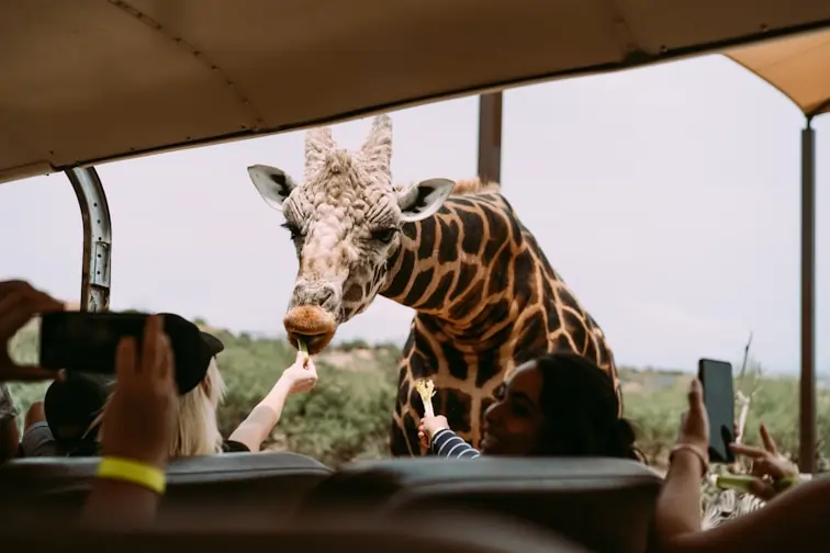 Lake Manyara in Tanzania