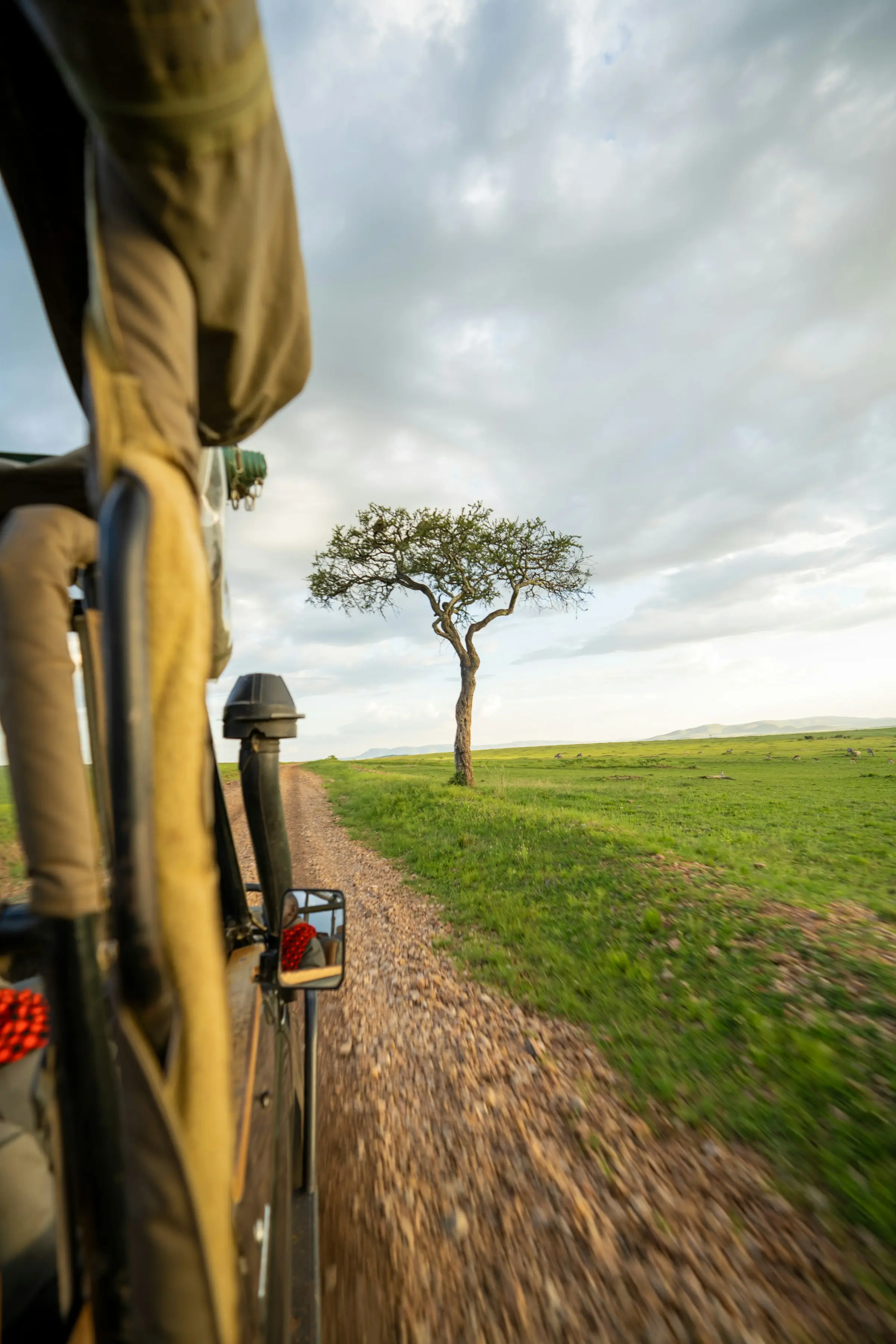 Where to Stay in the Masai Mara: Camps, Lodges, and Conservancy Picks