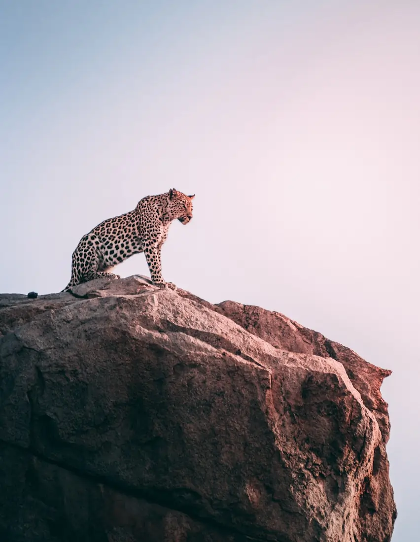 Akagera National Park in Rwanda