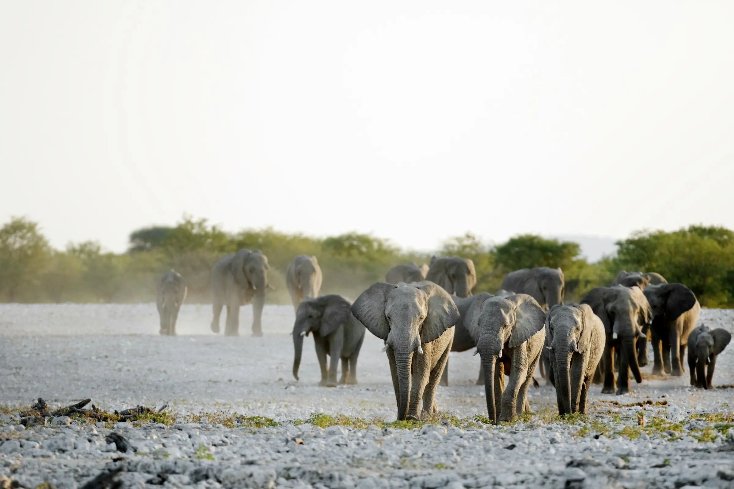 Arusha to Tarangire National Park on Day 2