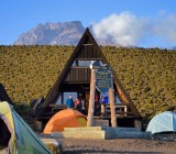 8 Days Kilimanjaro Climb-Umbwe Route