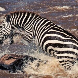 6 Days Epic Kenya Safari